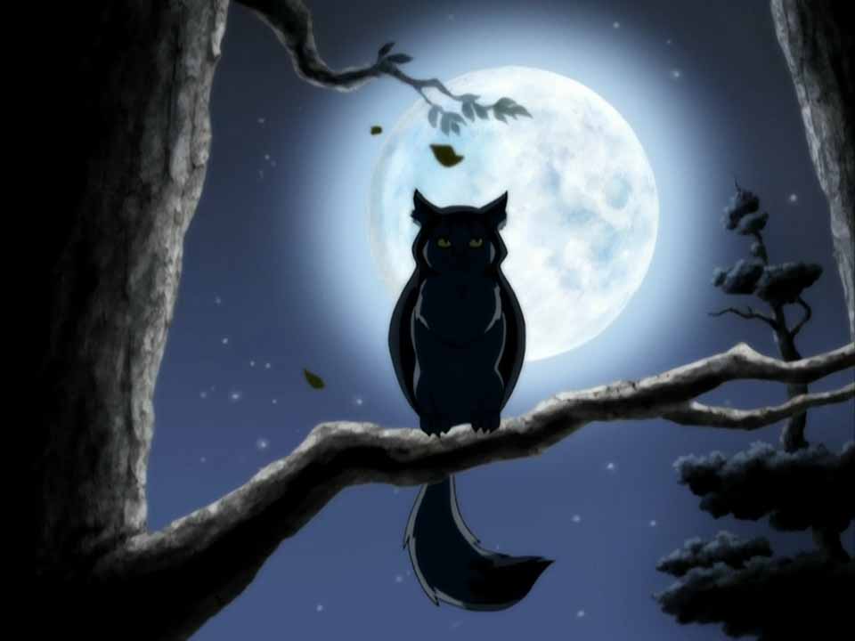 Світ Аватара